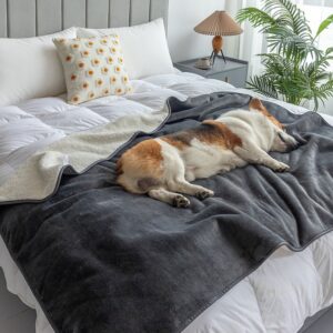 【四季通用】防潑水羊羔絨寵物毛毯被墊 法蘭絨貓狗窩墊 小型中型大型犬保暖睡墊 可機洗冬夏兩用寵物用品