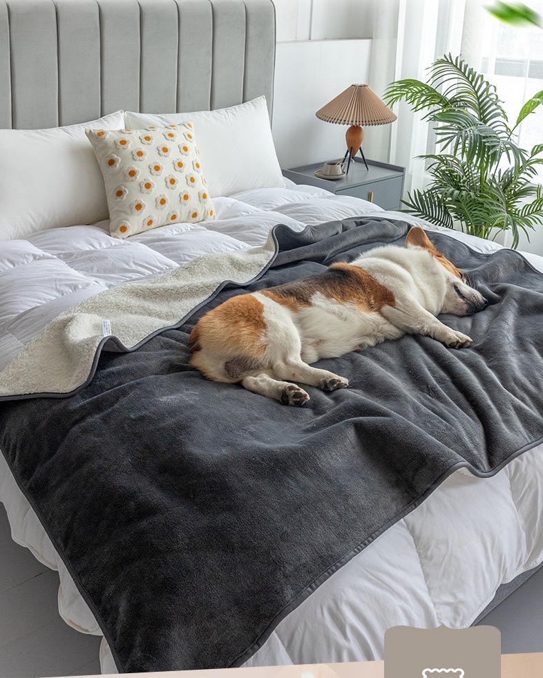 【四季通用】防潑水羊羔絨寵物毛毯被墊 法蘭絨貓狗窩墊 小型中型大型犬保暖睡墊 可機洗冬夏兩用寵物用品